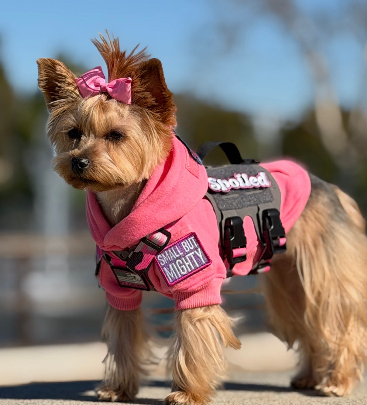 Small But Mighty (Pink & Purple) Morale Patch