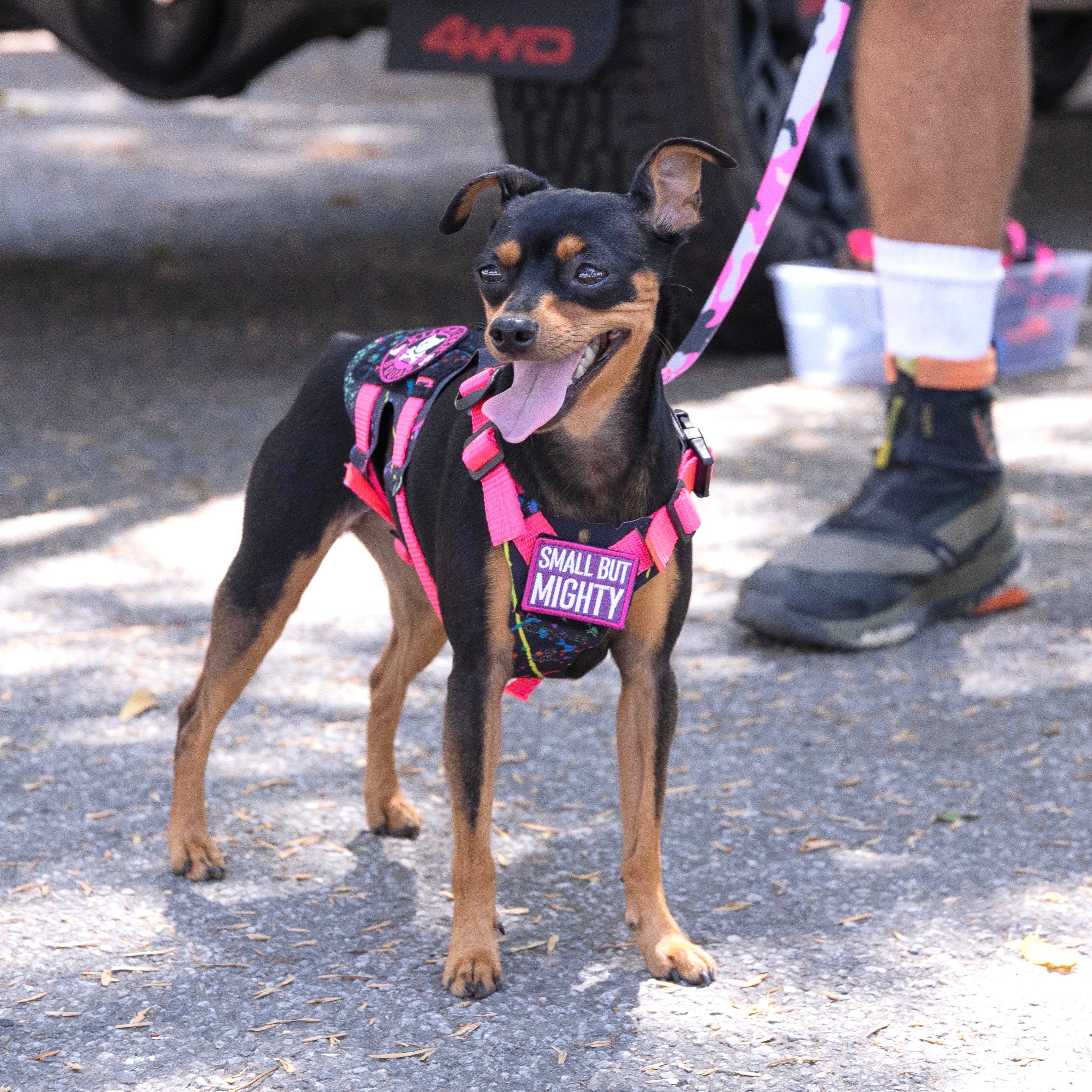 Small But Mighty (Pink & Purple) Morale Patch