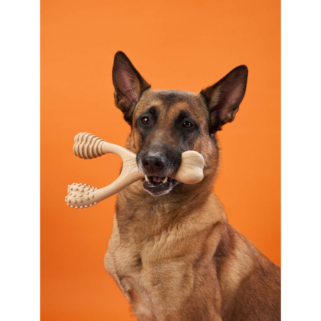 BetterBone HARD DURABLE CHEW TOY: Naturally Derived Ingredients, eco-friendly, and for the toughest chewers!