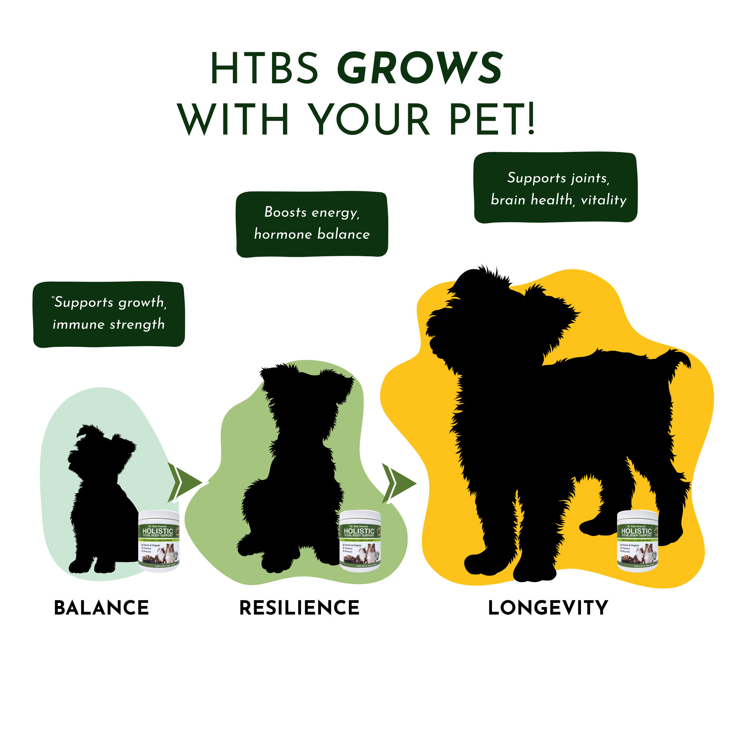Holistic Total Body Support – Multivitamin & Glandular Support for Dogs and Cats